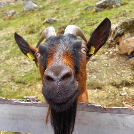 Haus Blickfang * Нойштифт-им-Штубайталь